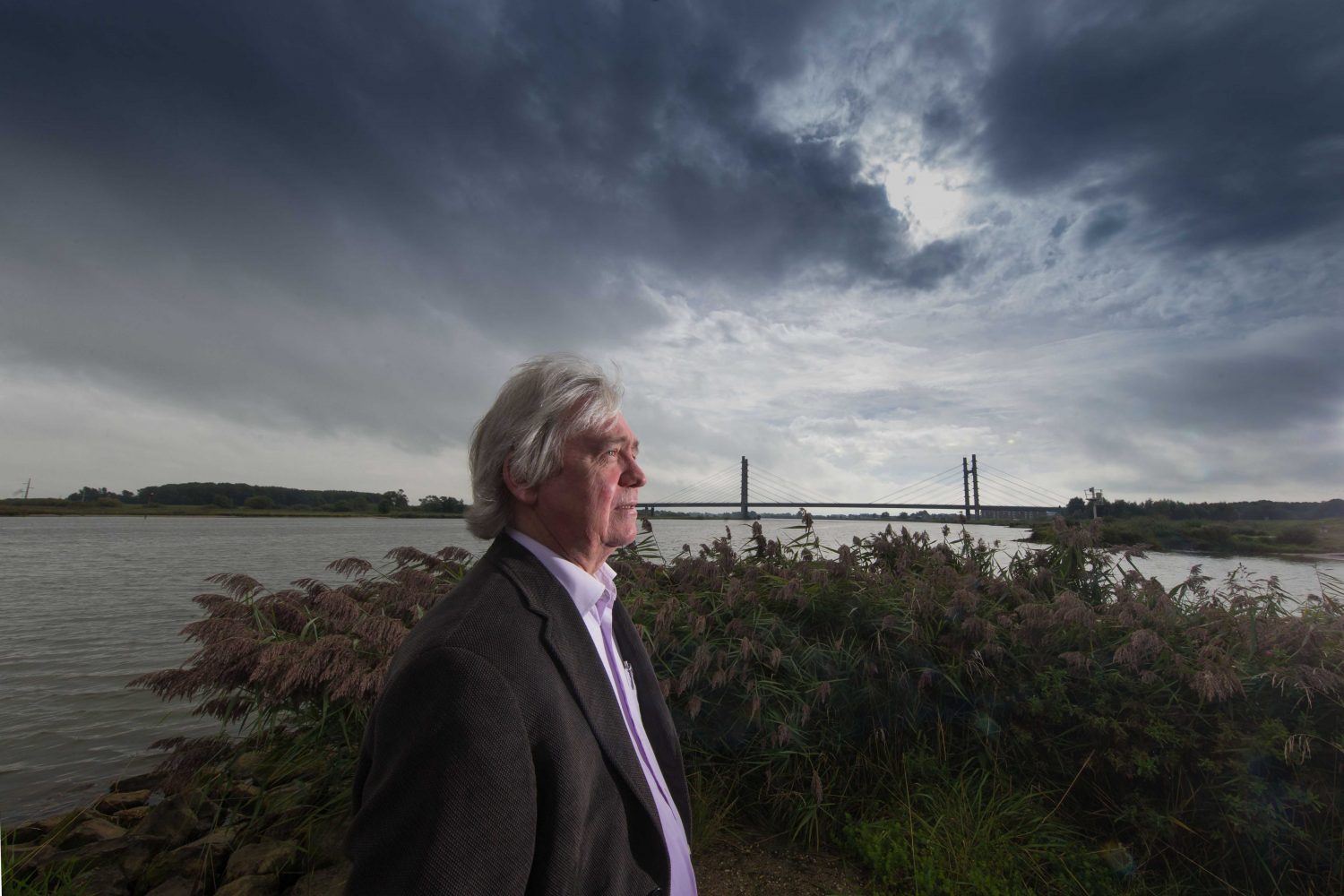 Webinar over Jung en Dromen