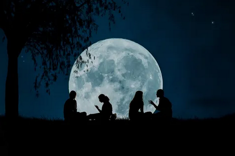 Online leden vergadering